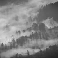 Sarah Houston - Farewell