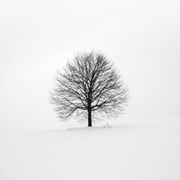 Sarah Houston - Dream Awake