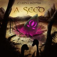 Cardamohm - A Seed