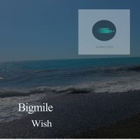 Bigmile - Wish