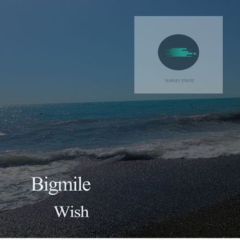 Bigmile - Wish