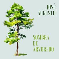 José Augusto - Sombra De Arvoredo