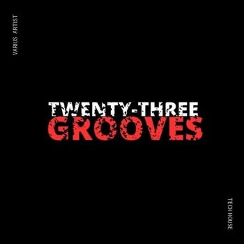 Various Artists - Twentythree Grooves