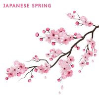Japanese Zen Shakuhachi, Ancient Asian Oasis and Asian Flute Music Oasis - Japanese Spring (Delicate Shakuhachi Melodies)