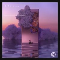 AIWI - HIGH RISK