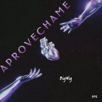 BigWig - APROVECHAME