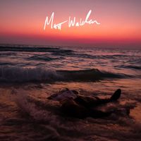 Matt Walden - This Album is About Heartbreak