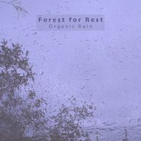 Forest for Rest - Organic Rain