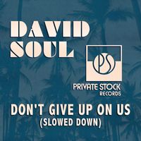 David Soul - Don't Give Up On Us (Slowed Down)