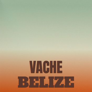 Various Artists - Vache Belize