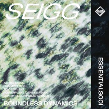 Seigg - Boundless Dynamics