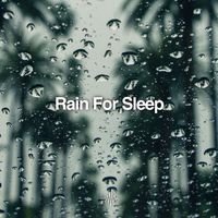 Dream Frequency - Rain for Sleep (Loopable)