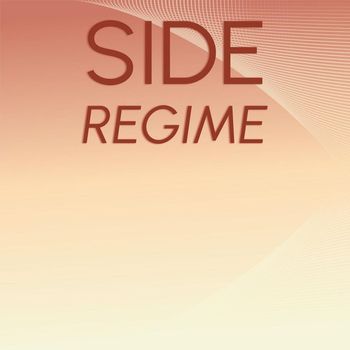 Various Artists - Side Regime