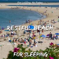 Christopher Seufert - Restful Beach for Sleeping (For Looping, No Fades)