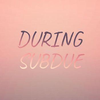 Various Artists - During Subdue