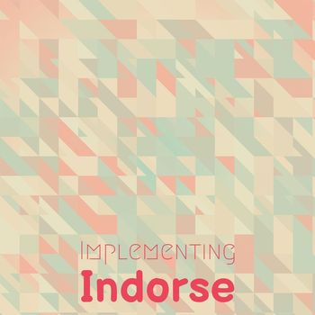Various Artists - Implementing Indorse