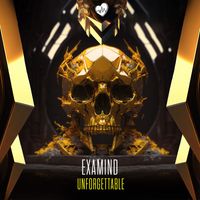 Examind - Unforgettable