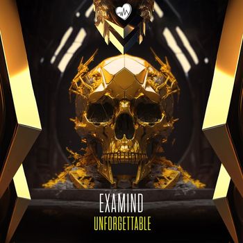Examind - Unforgettable