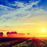 Dick Walter - Open Country