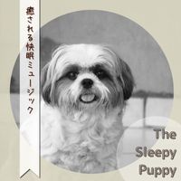 The Sleepy Puppy - 癒される快眠ミュージック