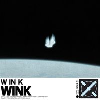Wink - WINK