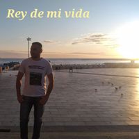 David Pereira - Rey de mi vida pista