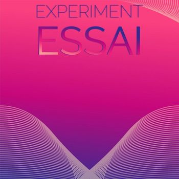 Various Artists - Experiment Essai