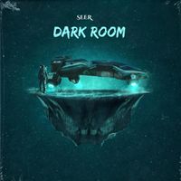 Seer - Dark room