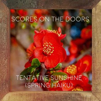 Scores on the Doors - Tentative Sunshine (Spring Haiku)