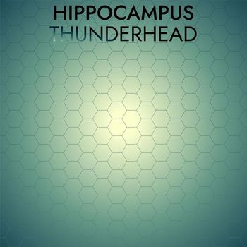 Various Artists - Hippocampus Thunderhead