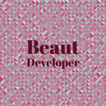 Various Artists - Beaut Developer