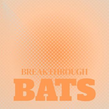 Various Artists - Breakthrough Bats