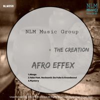 Afro Effex - The Creation