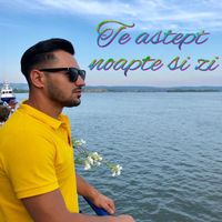 Gabita De La Craiova - Te astept noapte si zi
