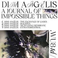 Dimi Angelis - A Journal of Impossible Things