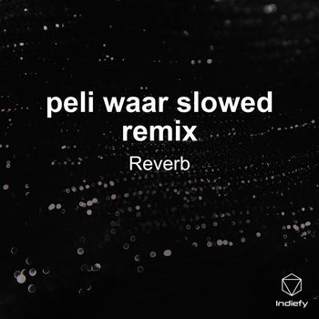 Reverb - peli waar slowed remix