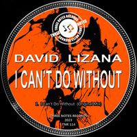 David Lizana - I Can't Do Without (Original Mix)