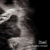 SÆ - Number Incised
