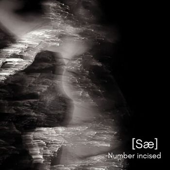 SÆ - Number Incised