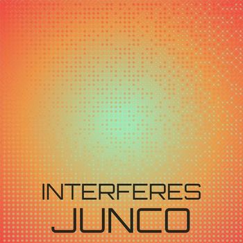 Various Artists - Interferes Junco