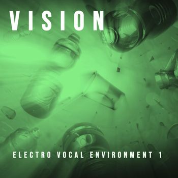 vision - Electro Vocal Environment 1, Pt. 2