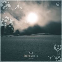 R.I.B. - Snowstorm (Ambient Mix)