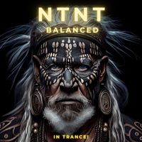 NTNT - Balanced