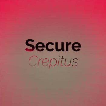 Various Artists - Secure Crepitus