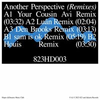 Idealism - another perspective (Remixes)