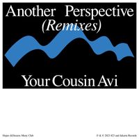 Idealism - another perspective (Your Cousin Avi Remix)