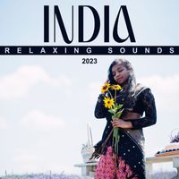 Relaxation and Meditation - India Relaxing Sounds 2023