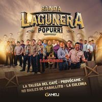 Banda Lagunera - Popurrí: La Talega del Café / Provócame / No Bailes de Caballito / La Culebra