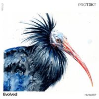 Evolved - Hunted EP