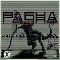 Pasha - Raptors